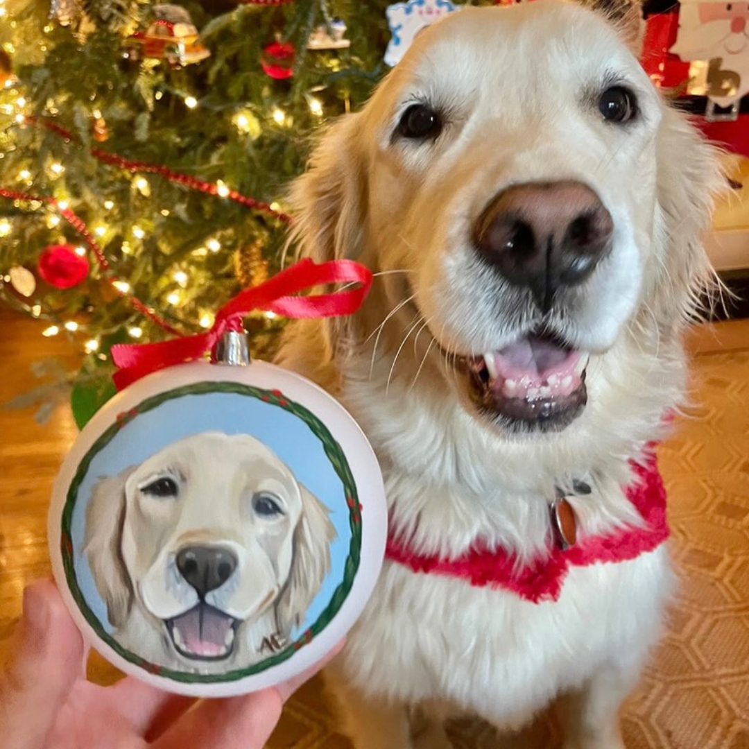 Custom Pet Portrait Ornament (4")